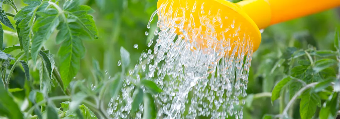 BAP - Consumer Goods Image V2 BAP - Consumer Goods Image V2