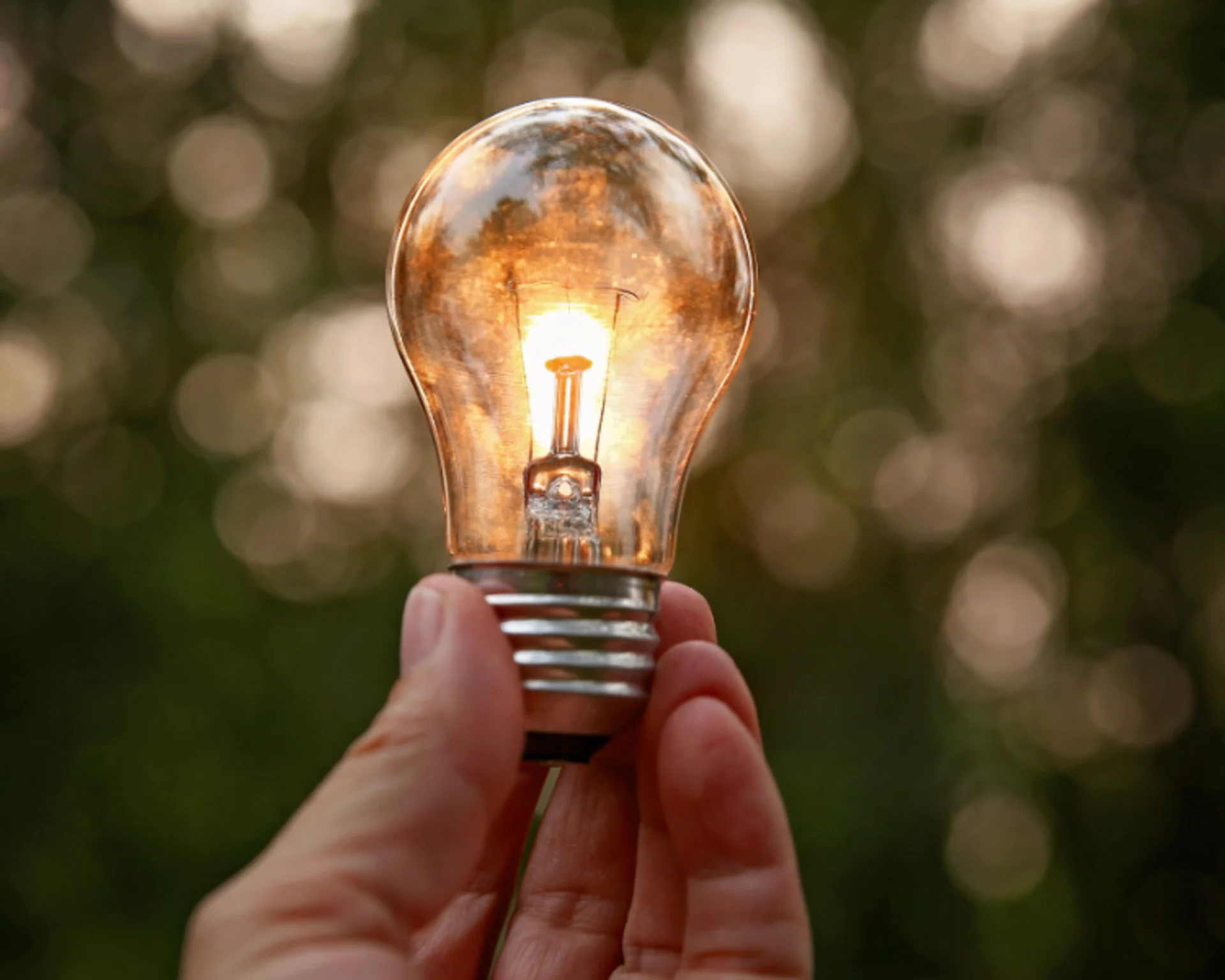 BAP: E&E_Image_Light Bulb BAP: E&E_Image_Light Bulb