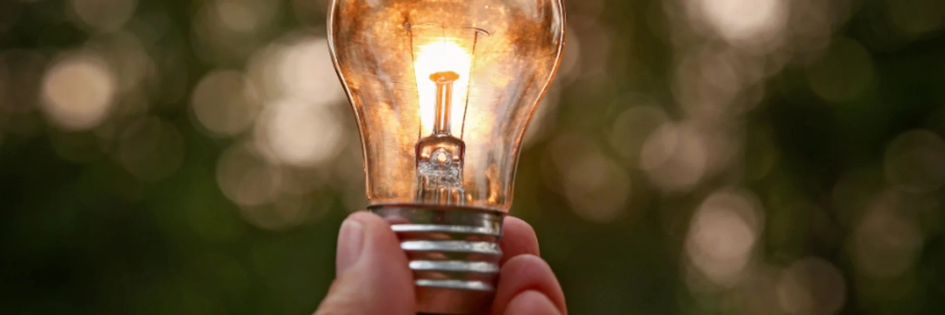 BAP: E&E_Image_Light Bulb BAP: E&E_Image_Light Bulb