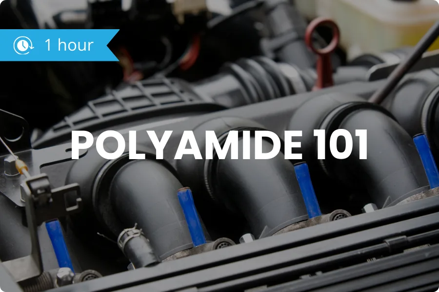 BAP: Image_Polyamide 101 BAP: Image_Polyamide 101