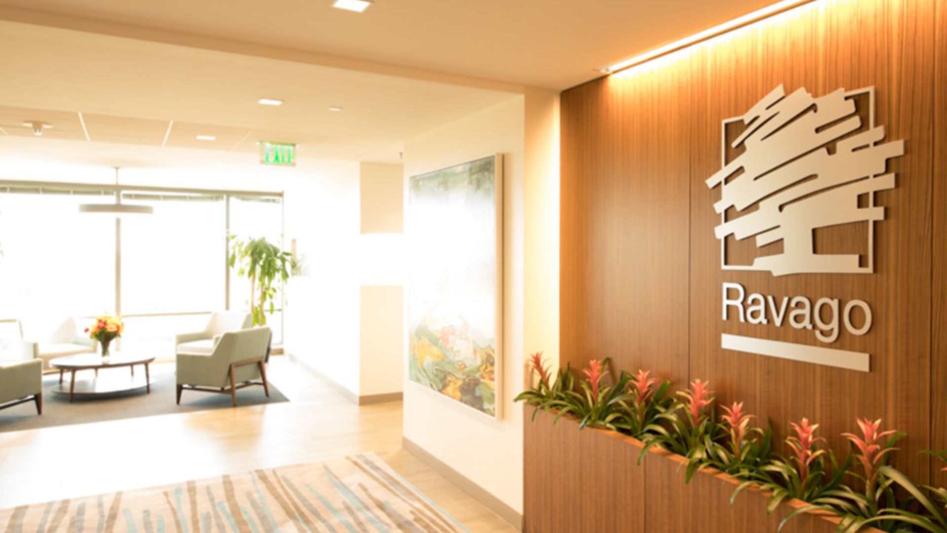 BAP: Ravago Office Teams Background