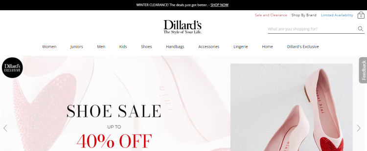 Dillards’ Privacy Policies And How To Delete Your Data Or Opt Out image