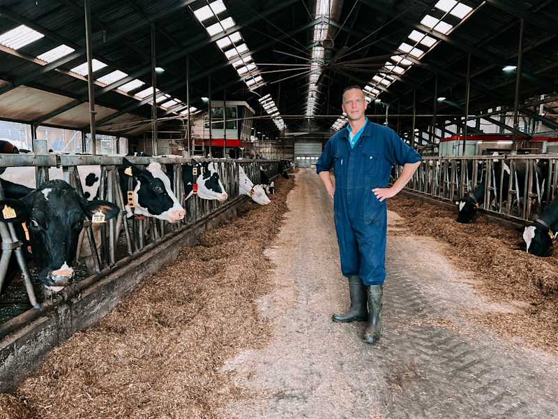 Carbon Insetting: Wie intelligente Milchviehfütterung Emissionen senkt