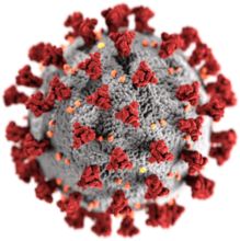 coronavirus