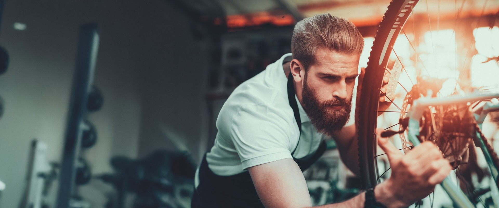 e1be7c62d9d322b373a77b002d099489 pfautec kaufen