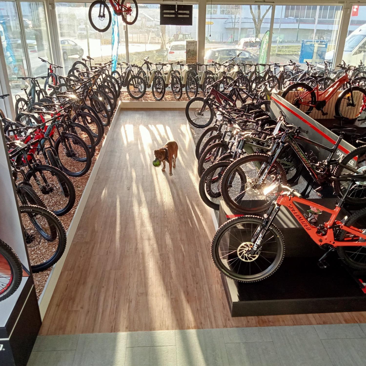 e-motion e-Bike Welt Olpe