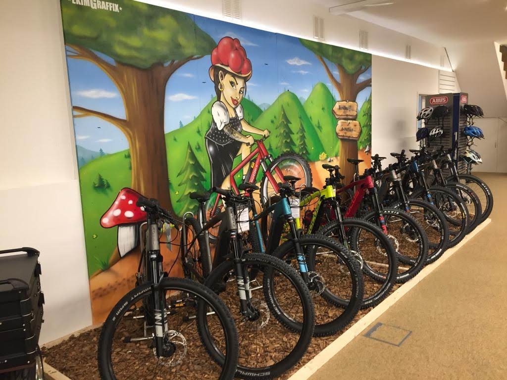 e-motion e-Bike Welt Freiburg Süd