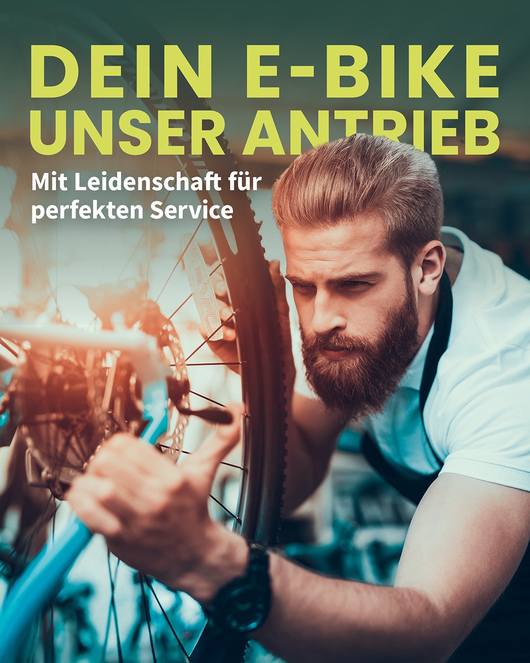 3d36a4290c83fc2971c073f34948077f pfautec kaufen