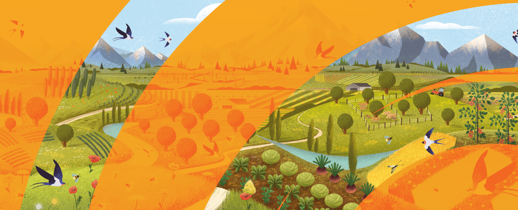 Illustration of farm fields