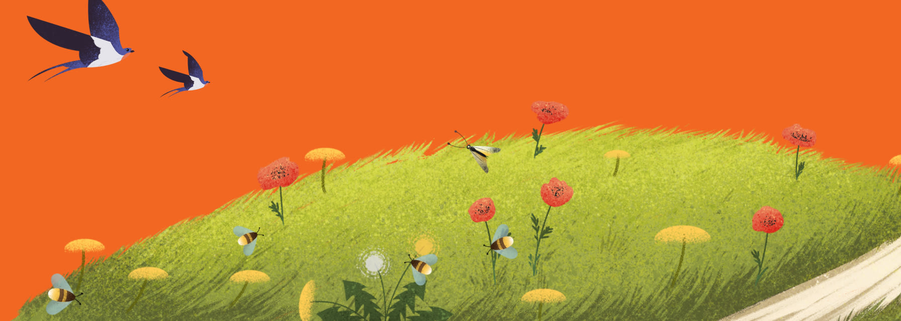 Meadow illustration on orange background with birds