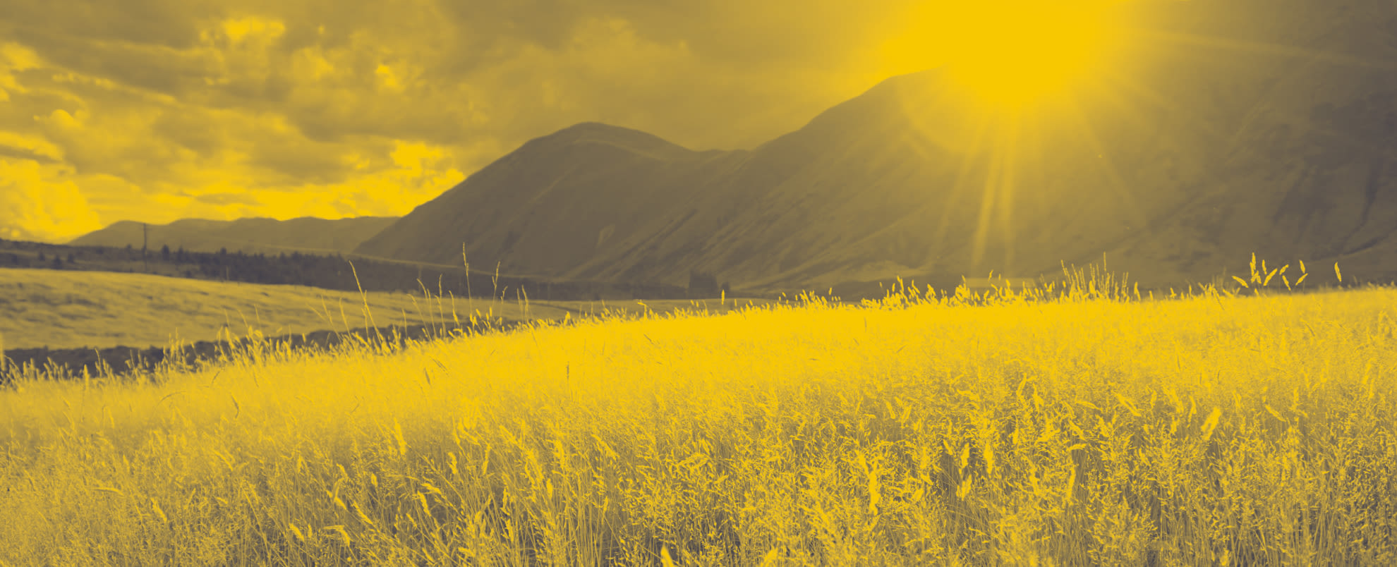 An image of mountains and a field with a yellowed-tinged filter over the image.