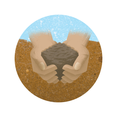 illustration of hands holding soil