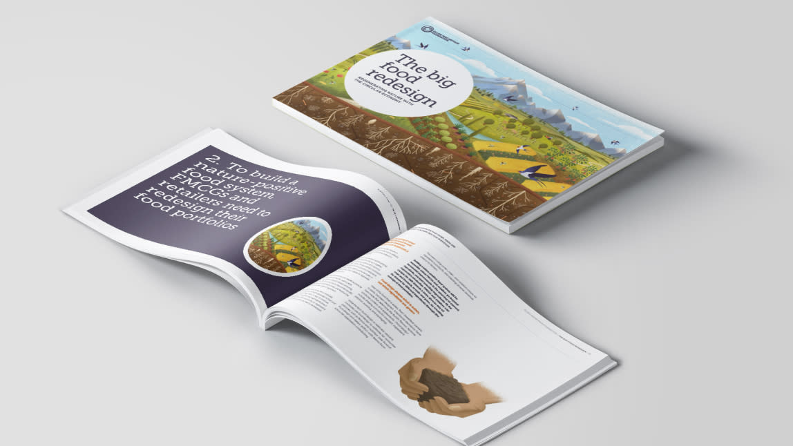 Big Food Redesign report front cover