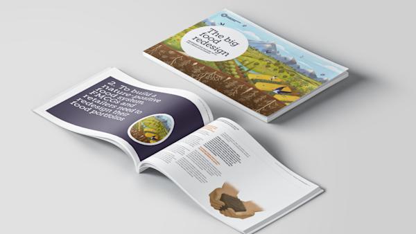 Big Food Redesign report front cover