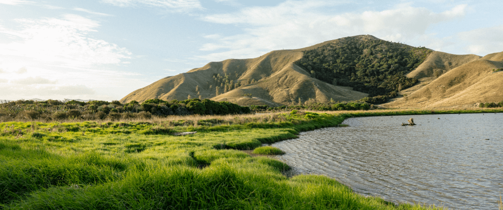 Landscape of fields, mountains and a river