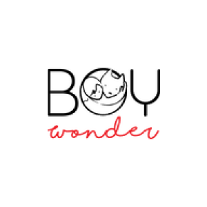 Boy wonder logo