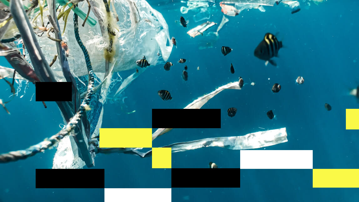 Plastics waste in the sea 