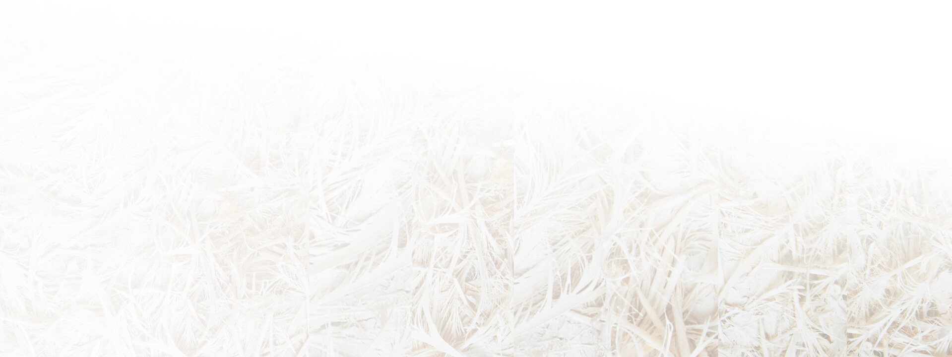 Close up of paper fibres