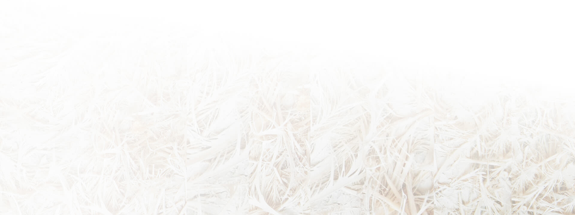 Close up of paper fibres