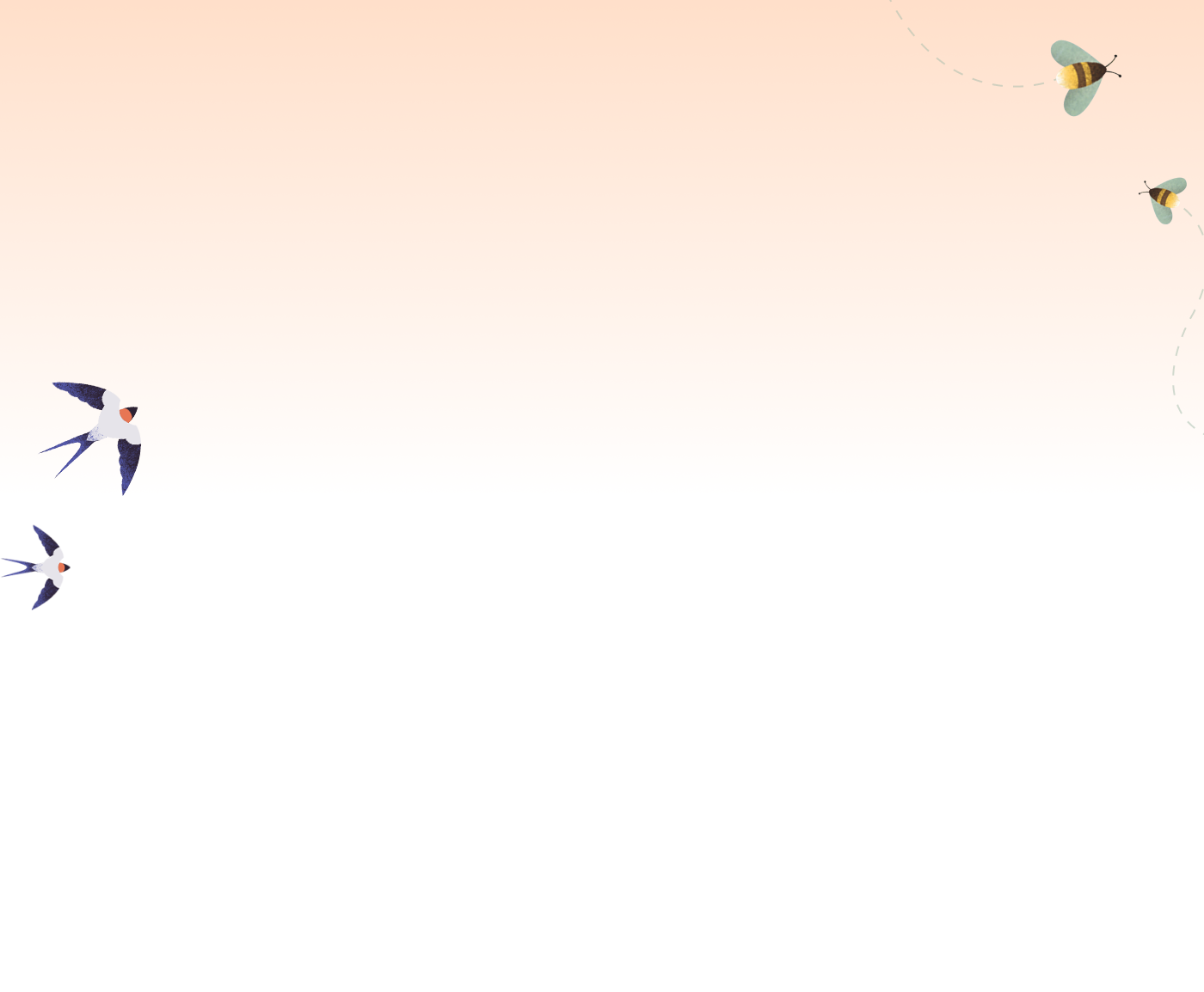 Light orange gradient with bird and bees overlayed