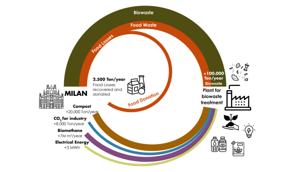 Infographic