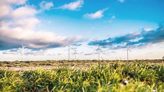 Wind turbines in field