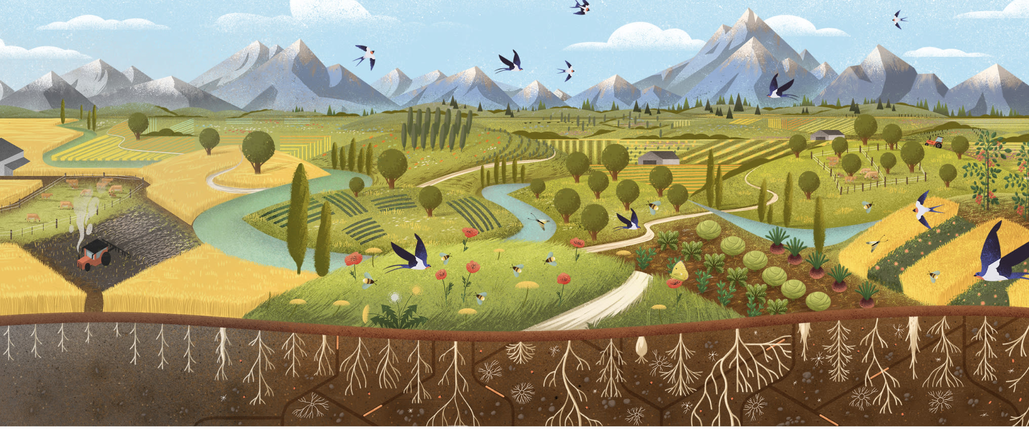 Illustration of hills, mountains and birds