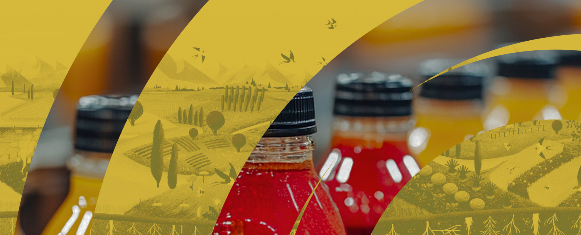 The cover image for Episode 4 of a series titled 'Food Packaging with Purpose'. It features a collage of various bottle products.