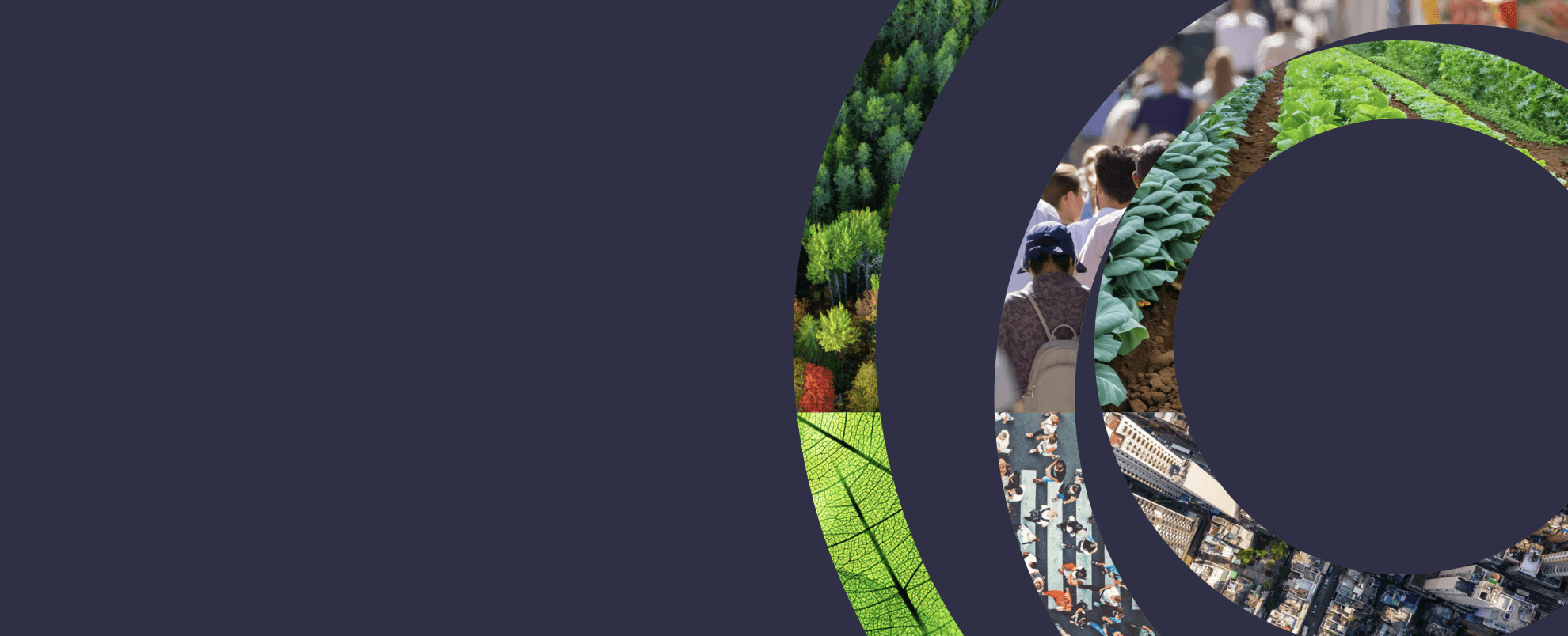 Collage of images in a circular shape