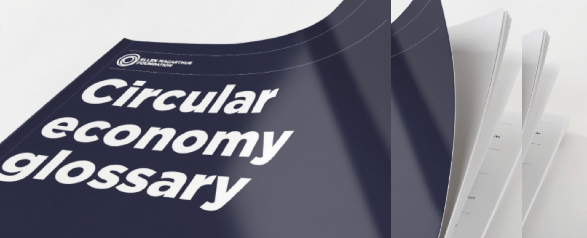 Image of the glossary in a printable report