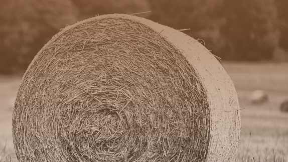 Image of hay barrel
