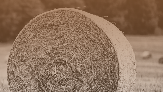 Image of hay barrel 