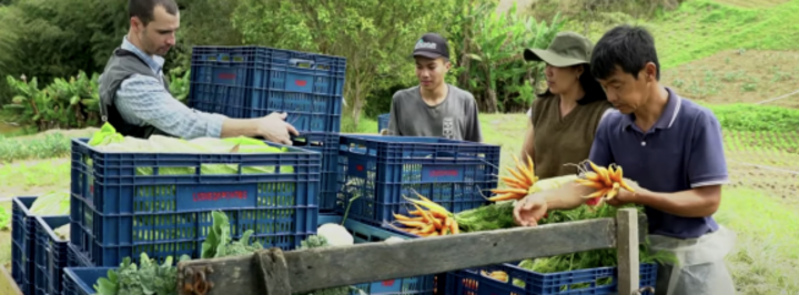 New mini-documentary showcases São Paulo’s circular food system transformation
