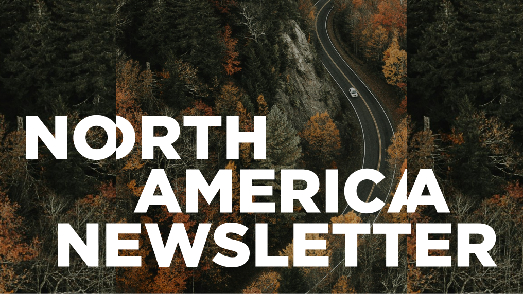 Birds eye image of thick forrest, with a road winding through the clearing, a lone white car is on the road.
