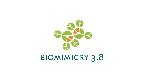 Biomimicry 3.8 logo