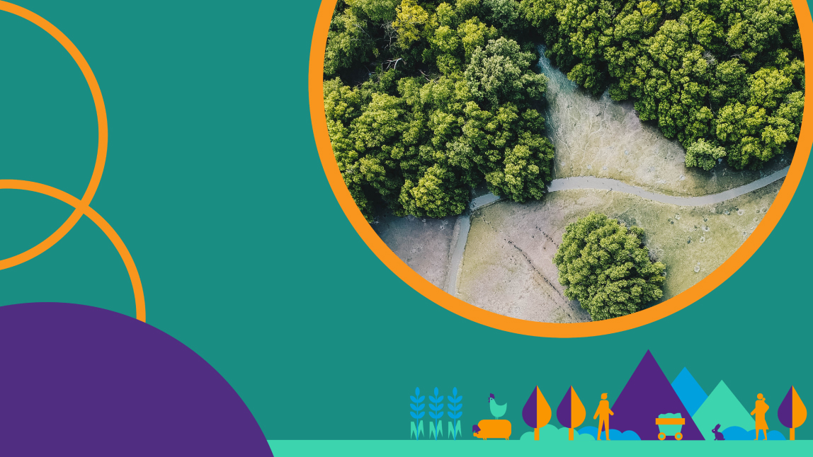 Circles with image of forest from birds eye view