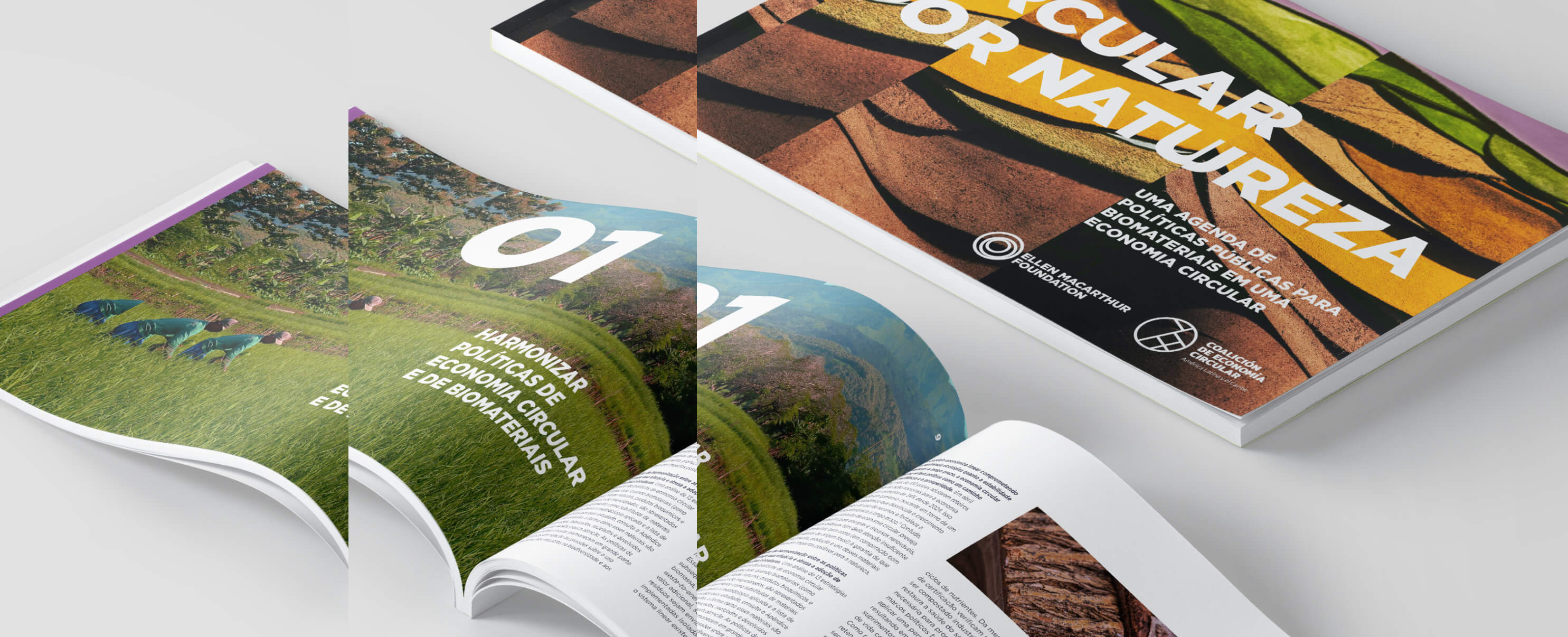 Cover and open spread of the report "Circular by nature"