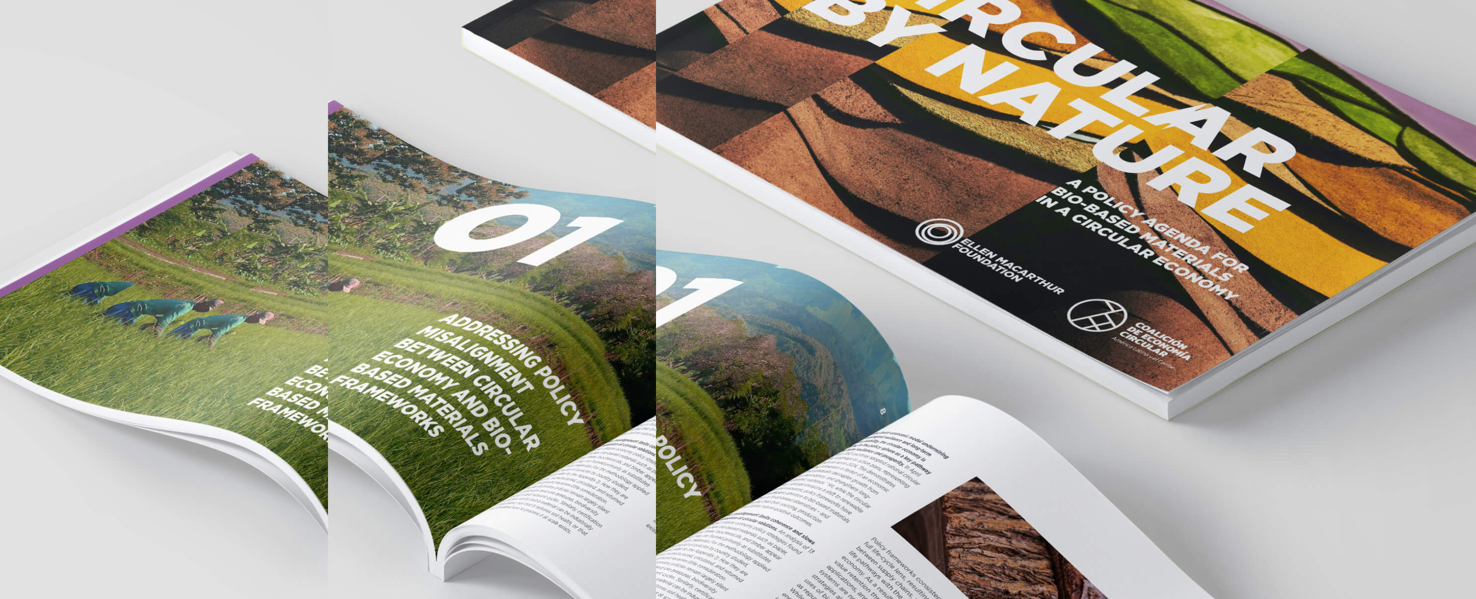 Cover and open spread of the report "Circular by nature"
