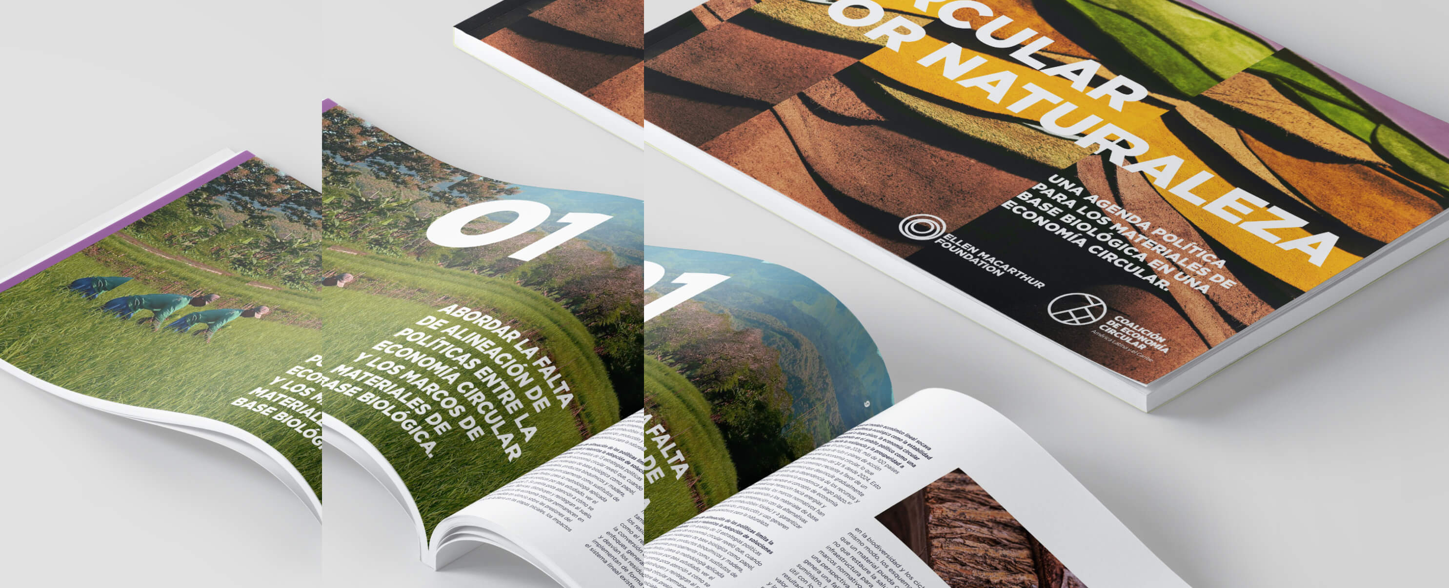 Cover and open spread of the report "Circular by nature"