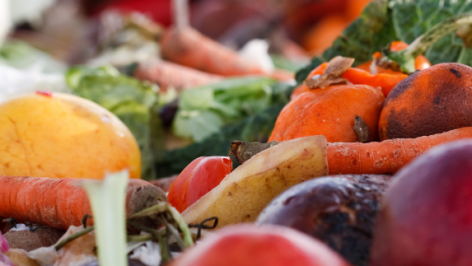 Listing image for circular examples for Planetarians showing vegetable waste