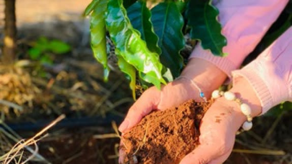 hands holding soil