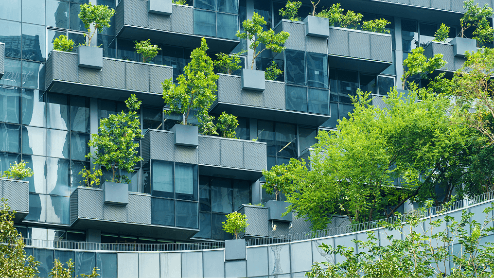 Photo of building with trees growing on it