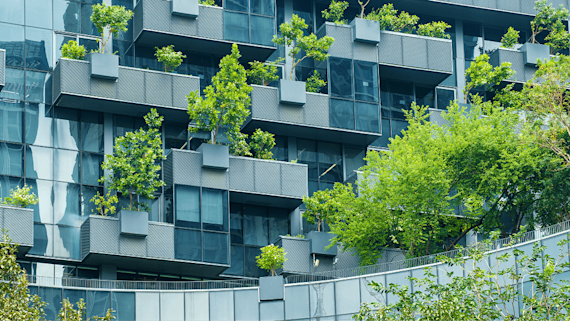 Photo of building with trees growing on it