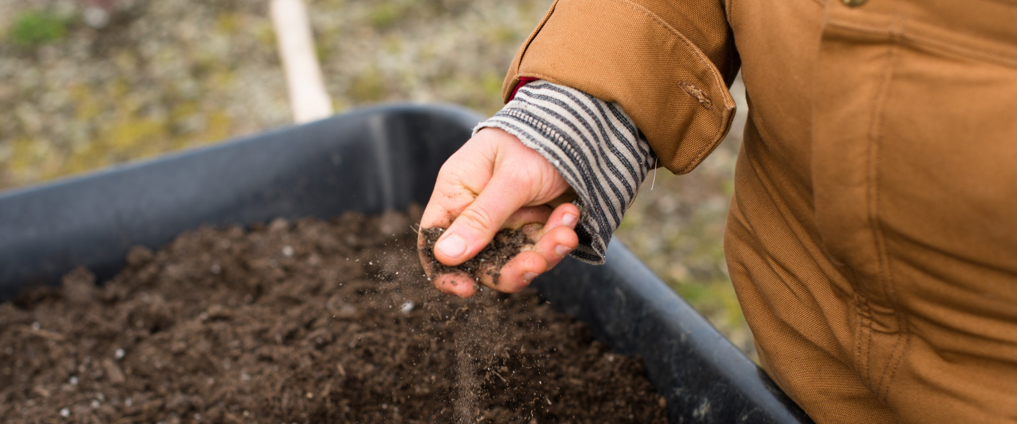 Person holding soil