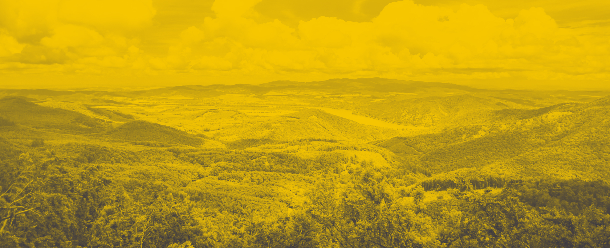 A close-up shot of nature, specifically showing land and its overall environment.