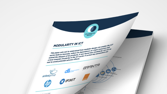 Modularity in Information and Communications Technologies cover