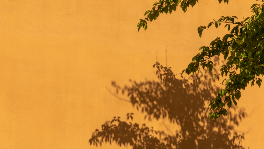 Greenery on orange background