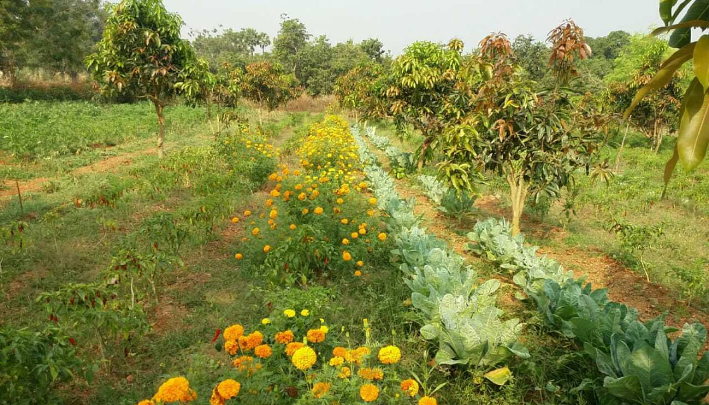 Agriculture Land Records In Andhra Pradesh