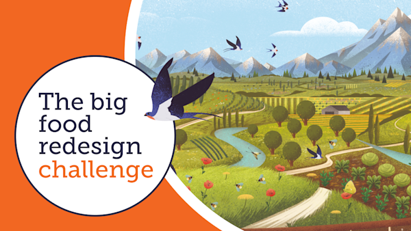Illustration of mountains and fields with wildlife next to "The Big Food Redesign Challenge" logo