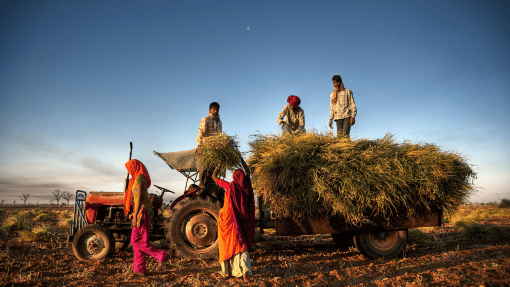 People farming